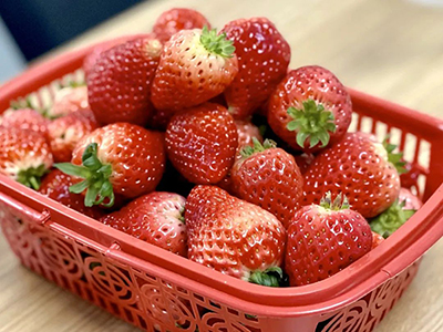 春风有信 花开有期——飞凯51漫画
“女神节”特别报道